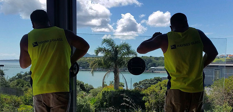 Auckland Glaziers glaziers